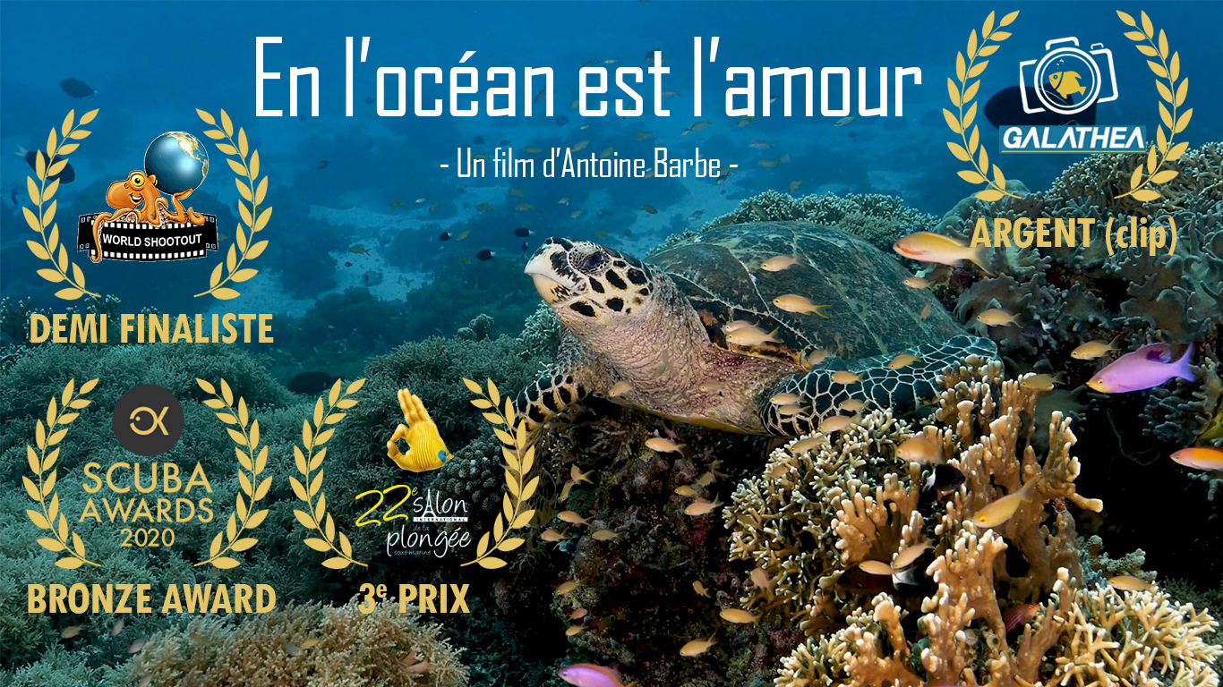 20210206-VignetteEnlocean-FR